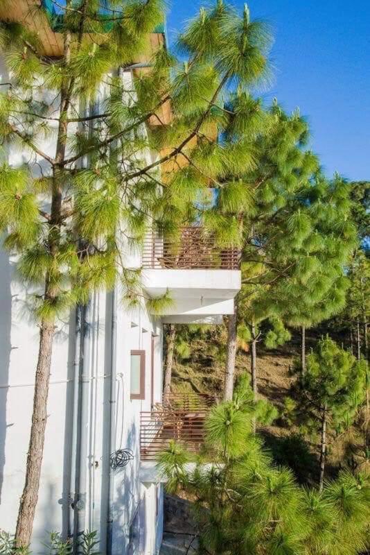 Pinewood 2Bhk Cottage Kasauli Dış mekan fotoğraf